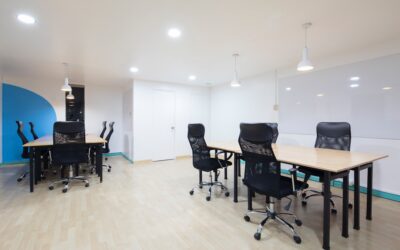 The Power of Transparency in Startupville