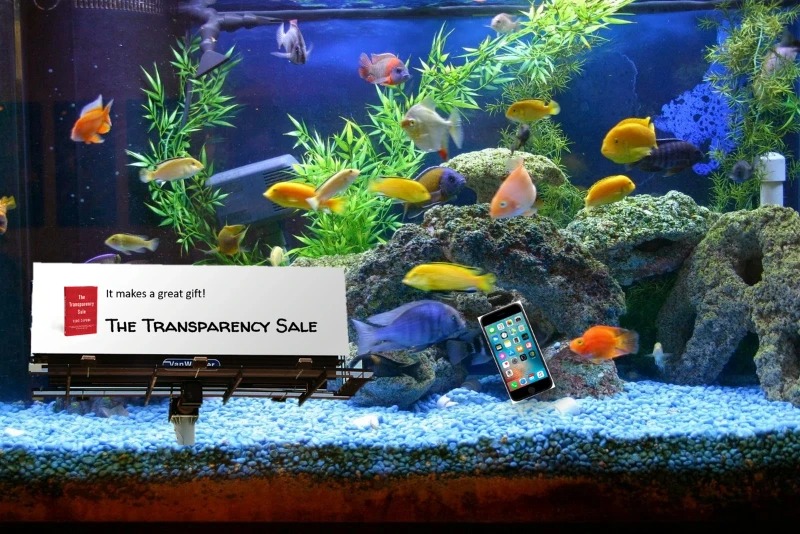 If Goldfish Had iPhones: Capturing & Maintaining Attention