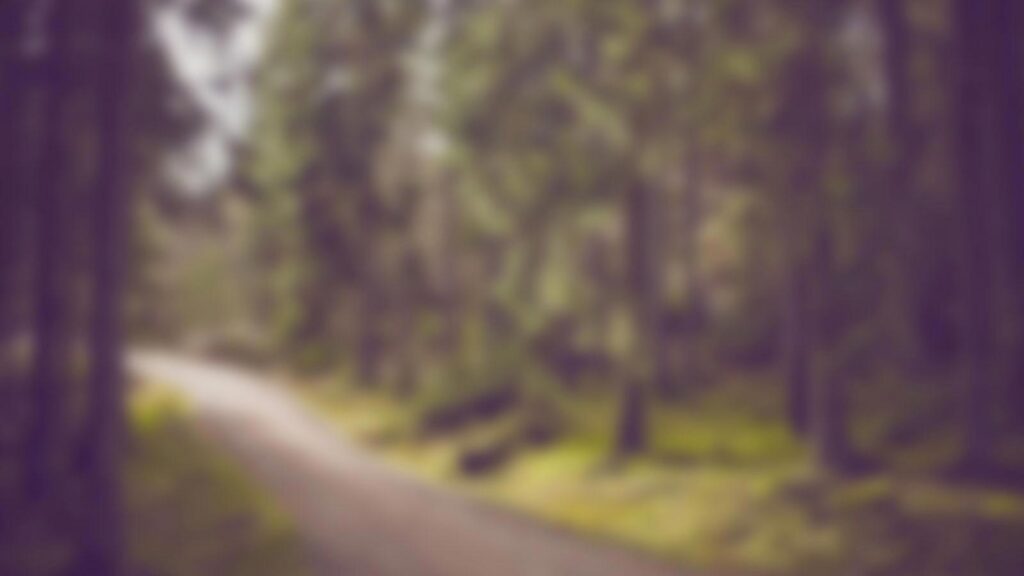 Book Progress Report v1