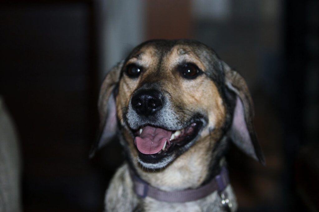 #FindDigger - How NOT To Handle A Business Mistake