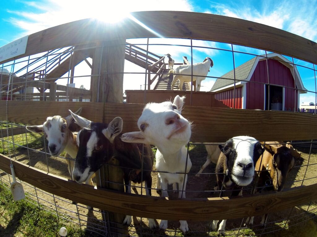 “Do you love to win, or hate to lose?” - How to Crush This Interview Question Like a Nerd!