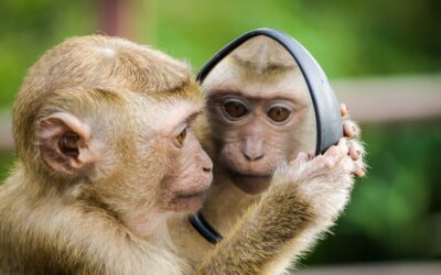 Disengaged sales talent: The problem may be you!