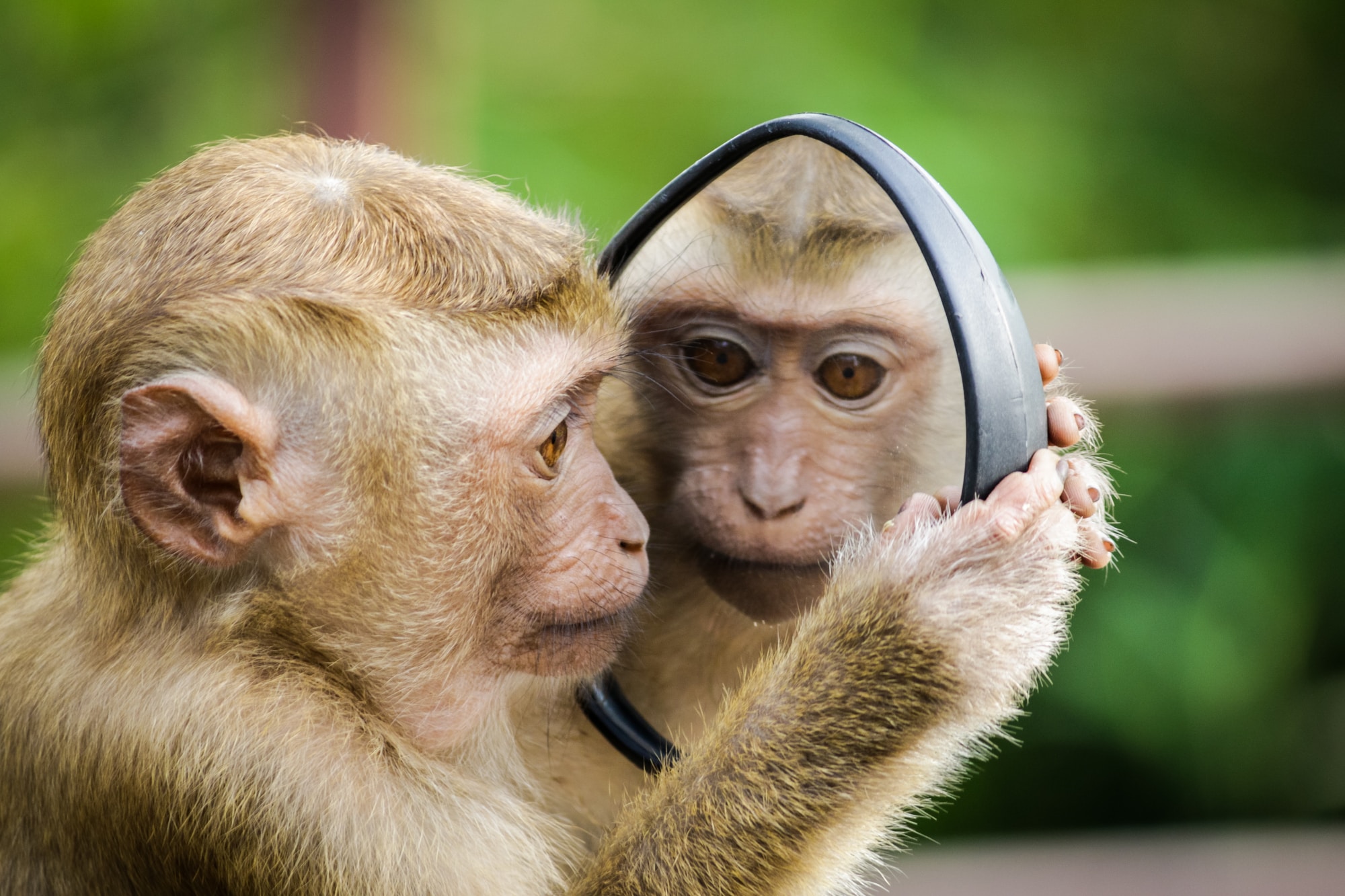 Disengaged sales talent: The problem may be you!