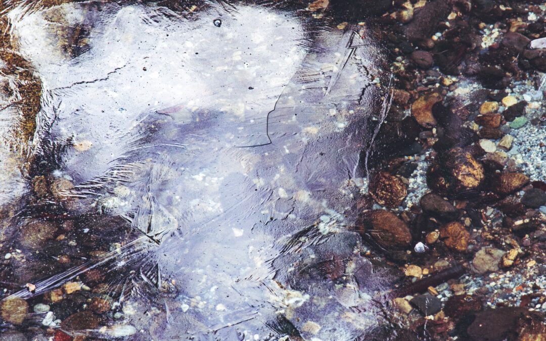 In sales, if you’re gonna lose, lose fast: Why we don’t