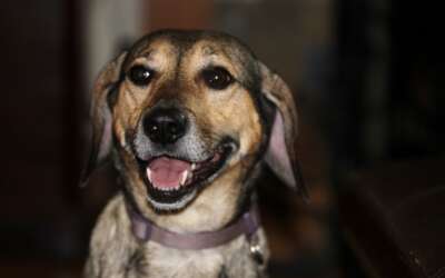 Mistakes Happen – How You Embrace Those Mistakes Means Everything