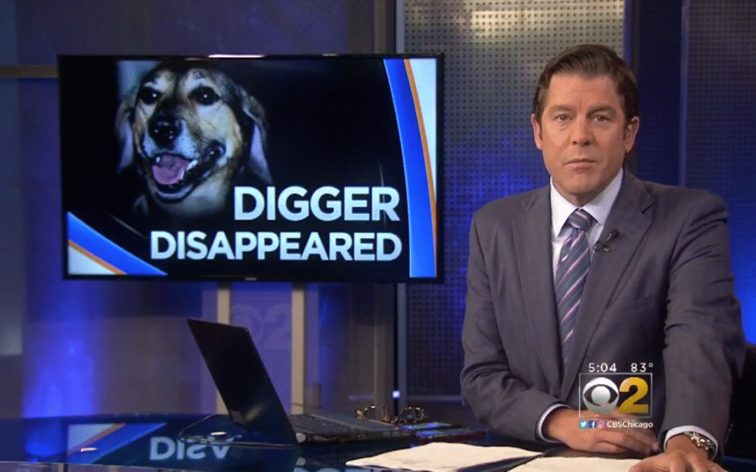 #FindDigger – Ten Years Later